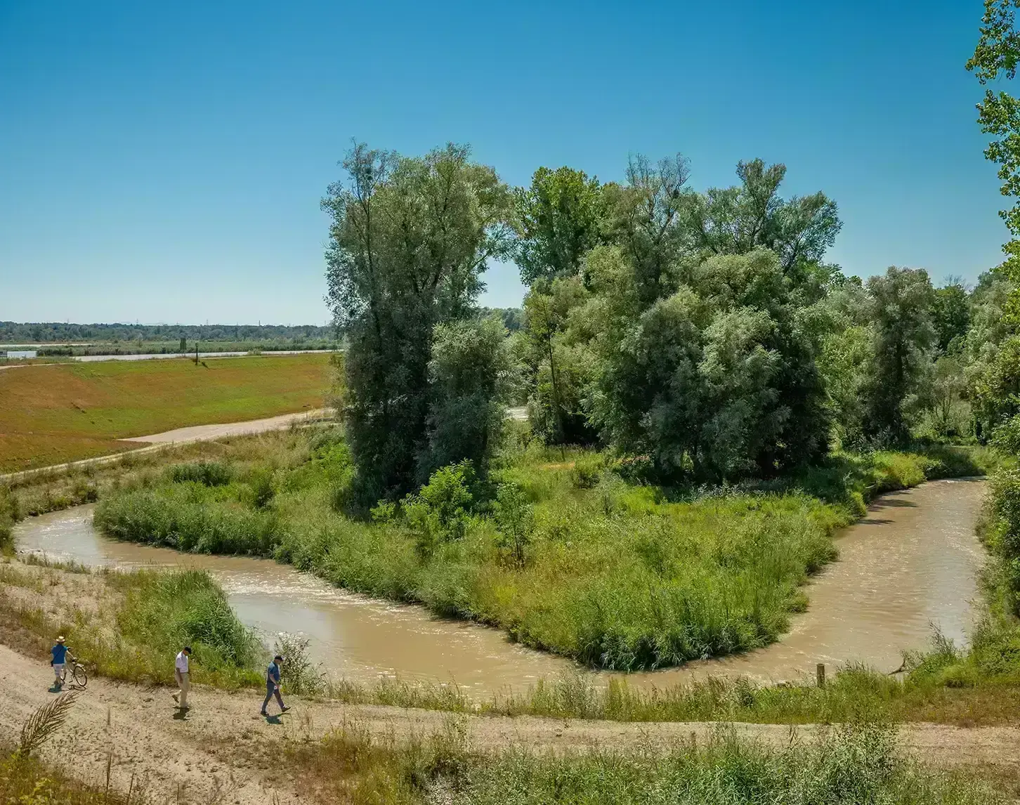 Wanderer und ein Radfahrer auf einem Pfad neben einem schlammigen Fluss, der sich durch eine bewaldete Landschaft schlängelt, bei sonnigem Wetter.