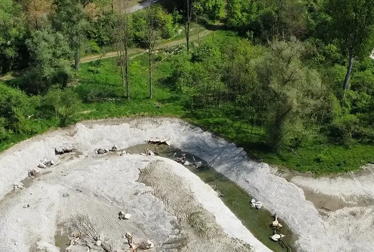 Luftaufnahme eines mäandernden Flusses mit grüner Vegetation und einem Kiespfad.